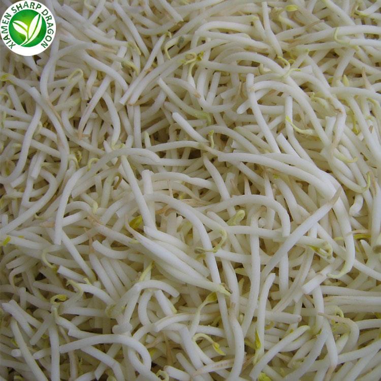 bean sprout price