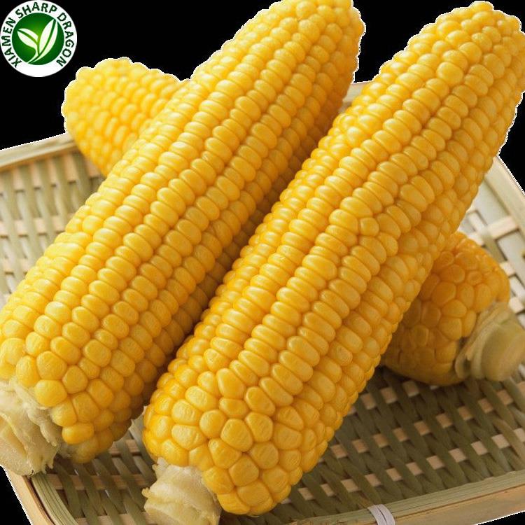 frozen corn price