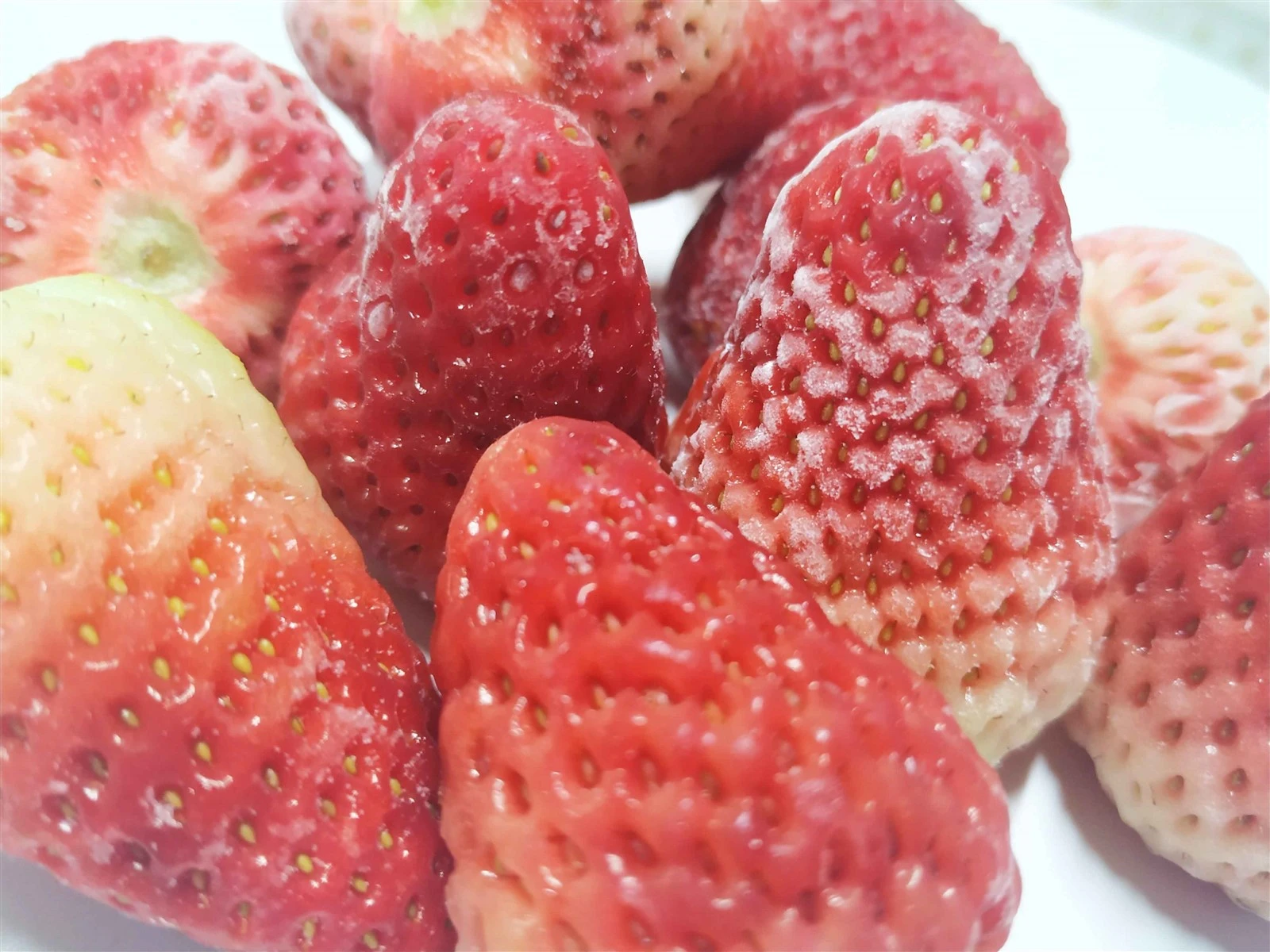 XMSD Bulk Frozen Fruit Supplier XMSD bulk frozen fruit supplier