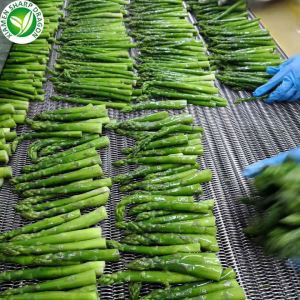 IQF مارچوبه سبز منجمد