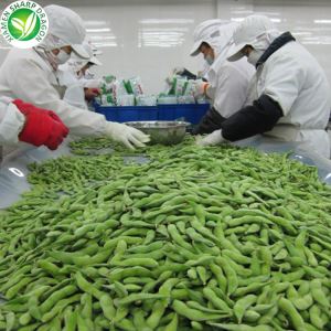 لوبیا ادمام چینی