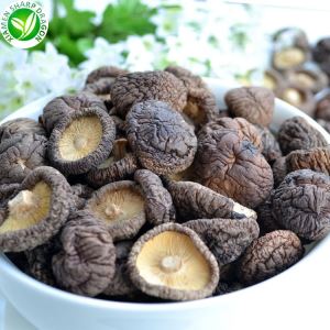 فروش عمده قارچ خشک شیتاکه