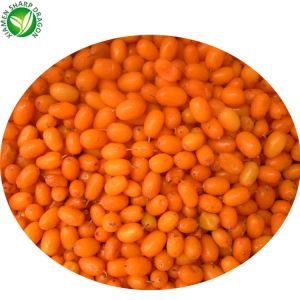 بری باکنه دریای یخ زده