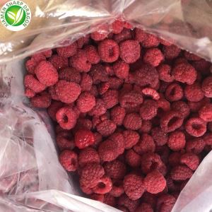 قیمت عمده تمشک