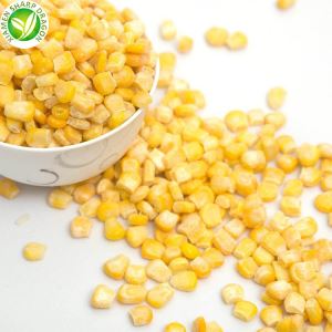 تولید کنندگان ذرت شیرین