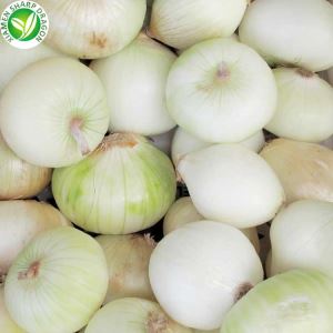 1 کیلوگرم پیاز