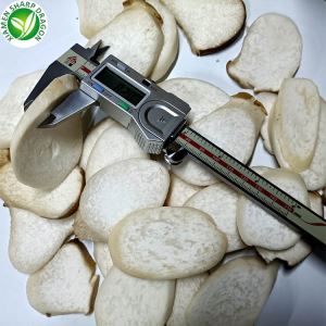 قارچ Pleurotus Eryngii