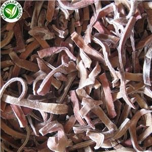 فریز لبه قارچ سیاه