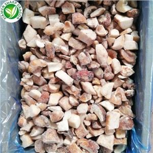 قارچ پورچینی محصول جدید