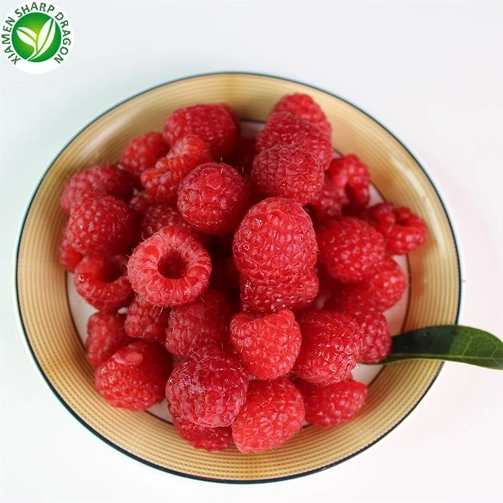 Bulk IQF Frozen Raspberries Supplier
