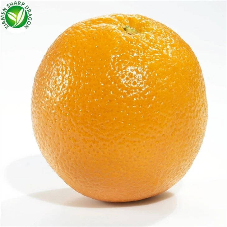 Fresh Orange Navel Orange Best Quality Good Price