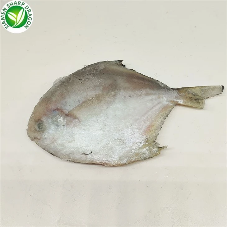 Frozen White Pomfret