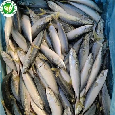 ماهی خال مخالی اسب کامل منجمد